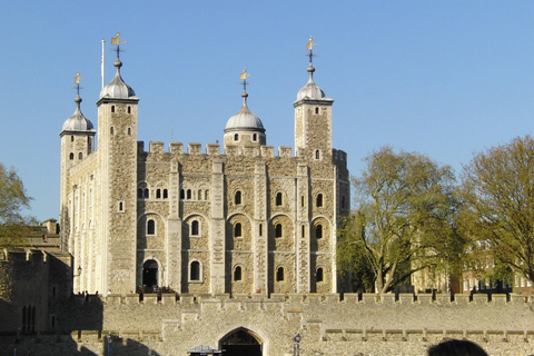 Full Day London Tour in a Private Vehicle with Admission