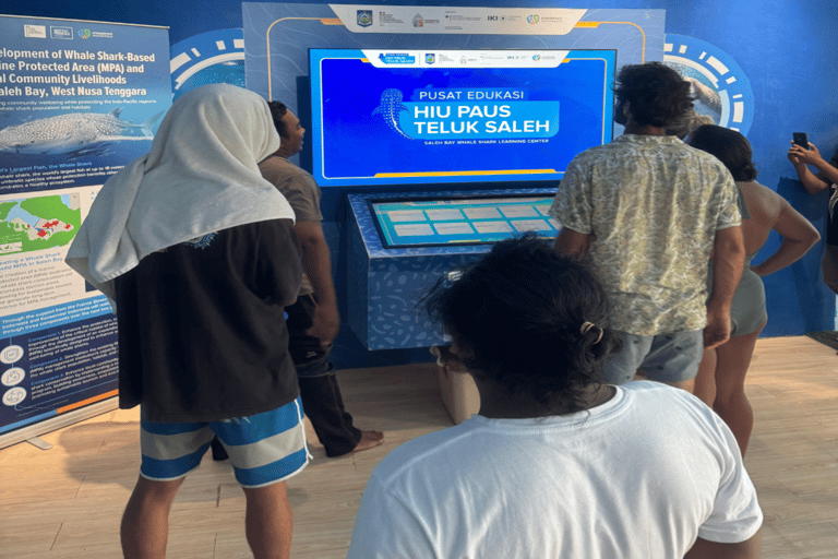 Lombok Sumbawa Best Sharing 2D1N Whale Shark With Snorkeling From Sumbawa Best Sharing 2D1N Whale Shark With Snorkeling