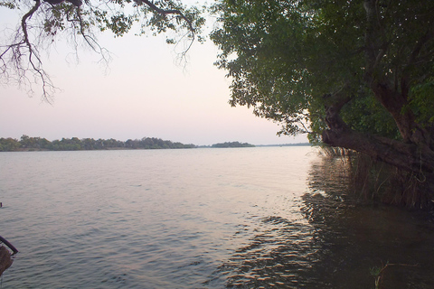 Birdwatching Livingstone Zambezi River with Sunrise