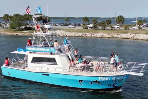 Public Dolphin & Scenic Bay Sightseeing Tour, Pensacola Bch