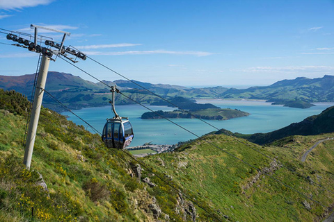 Christchurch: Private City Day Tour