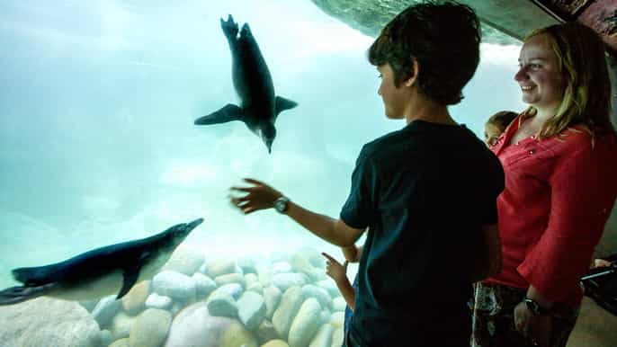 Barcelona: 1-Day Ticket to Barcelona Zoo