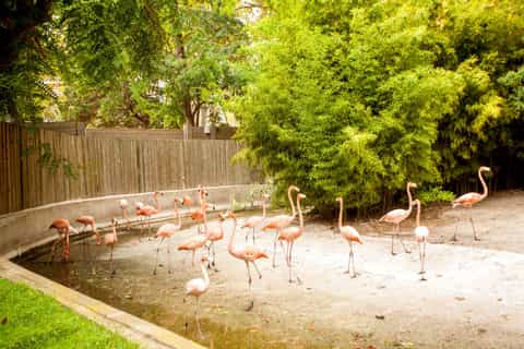 Barcelona Zoo Tickets