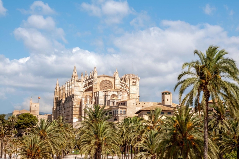 Palma de Mallorca: 24 or 48-Hour Hop-On Hop-Off Bus Tour 24-Hour Bus Ticket