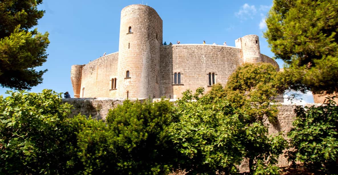 Palma de Mallorca: 24 or 48-Hour Hop-On Hop-Off Bus Tour