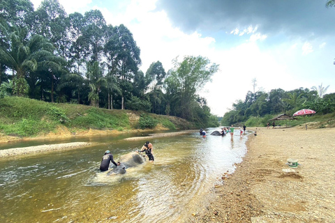 Khao Lak: Khao Sok Elephant Sanctuary and Night Jungle Walk Khao Sok Elephant Sanctuary and Night Jungle Walk