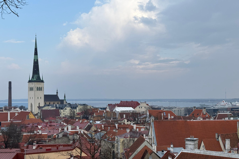 Tallinn: Old Town Walking Tour with Guide