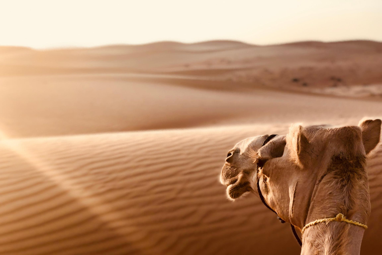 From Muscat:Wahiba Sands & WadiBani Khalid Desert Experience