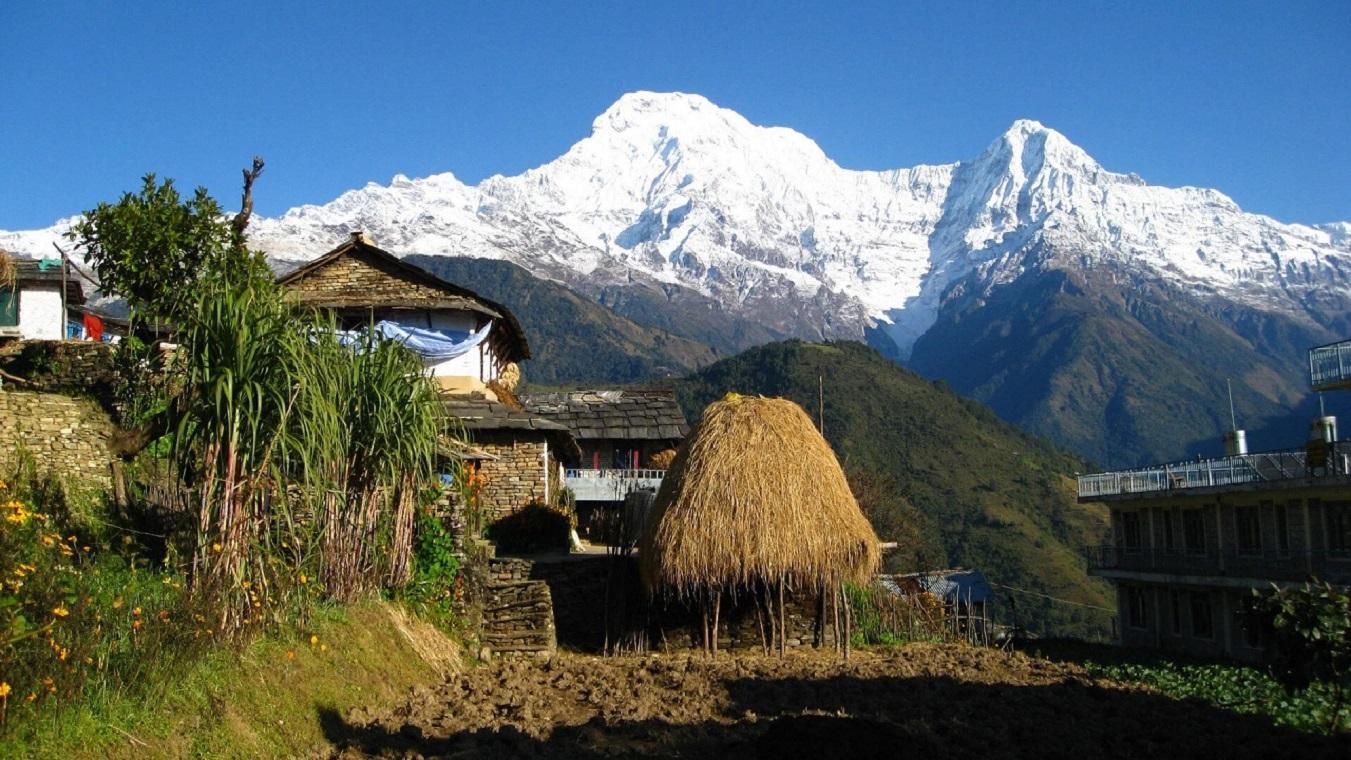 Pokhara: Tageswanderung zum Lwang-Ghalel-Teeplantage mit Bergblick