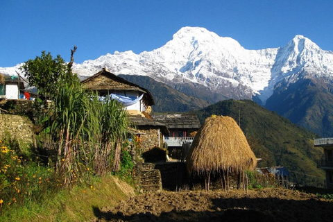 Pokhara: Day Hike Lwang-Ghalel Tea Garden and Mountain Views