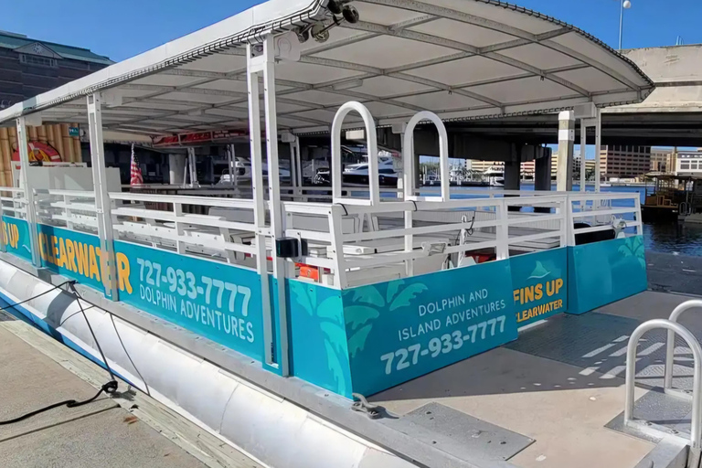 Clearwater Beach: Sunset and Harbor Lights Cruise Clearwater: Sunset and Harbor Lights Cruise