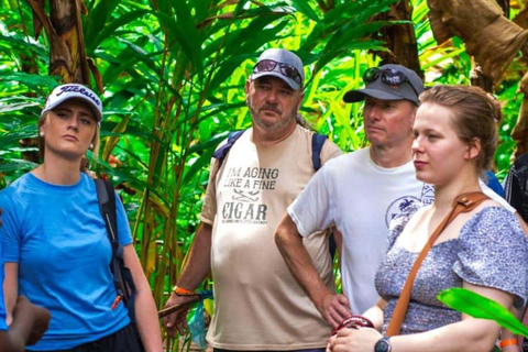 Zanzibar: Privat kryddodlingstur med lokal guide.Det här alternativet inkluderar upphämtning från hotell i Stone Town.