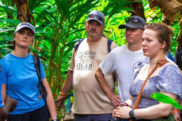 Zanzibar: Privat kryddodlingstur med lokal guide.Det här alternativet inkluderar upphämtning från hotell i Stone Town.