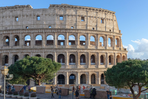 Rome : Visite guidée du Colisée, du Forum romain et de la colline Palatine