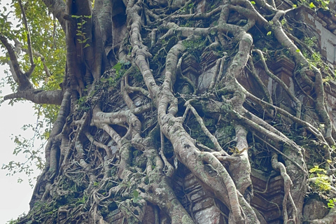 Tour privato di un giorno Preah Vihear, Koh Ker e Beng MealeaMinivan