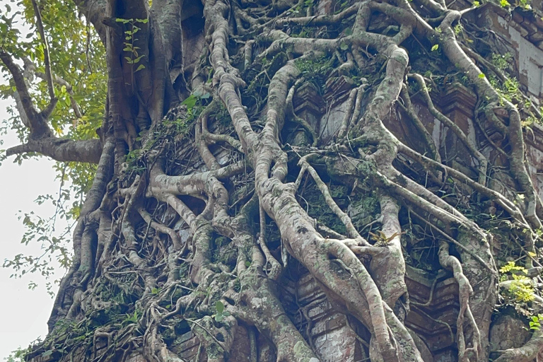 Tour privato di un giorno Preah Vihear, Koh Ker e Beng MealeaMinivan