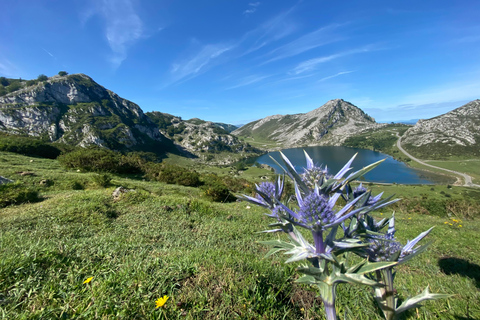 Covadonga en Meren en Occidentale kust Privé Tour