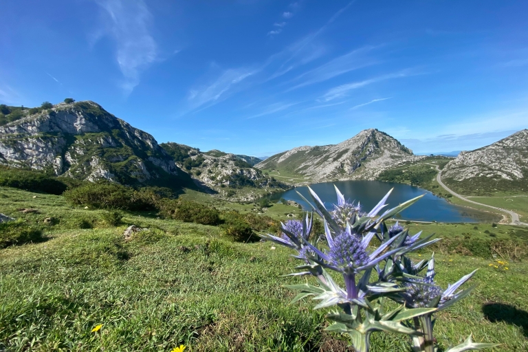 Visite privée de Covadonga et des lacs et de la côte occidentale
