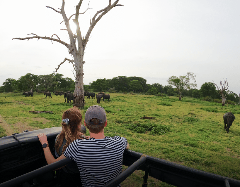 Parco Nazionale Di Minneriya Safari In Jeep Di Mezza Giornata In Sri ...