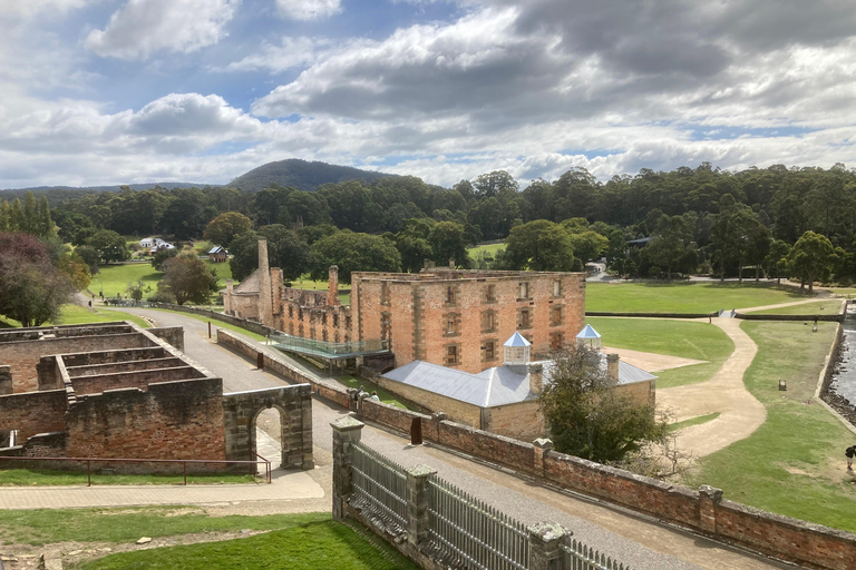 Private Tagestour – Tasman-Halbinsel