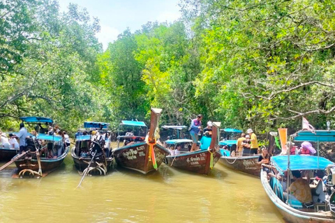 Krabi halvdagsutflykt ekotur Mangrove båttur &amp; Khanap Nam Cave