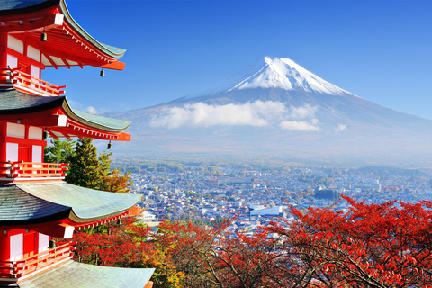 Tóquio: Viagem ao Monte Fuji e Hakone com motorista que fala inglês