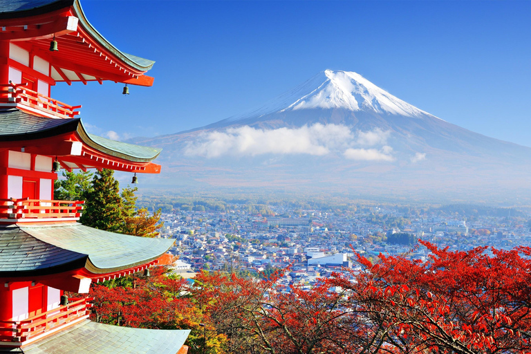 Mount fuji and hakone full-day tour english speaking driver