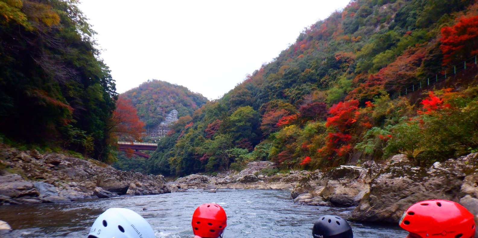 Kyoto experience — temples, geisha, bamboo grove — image 21