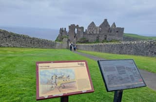 Private Tour zum Giant's Causeway ab Belfast