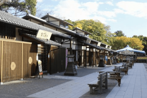 Tour privato personalizzato di Nagoya con guida locale