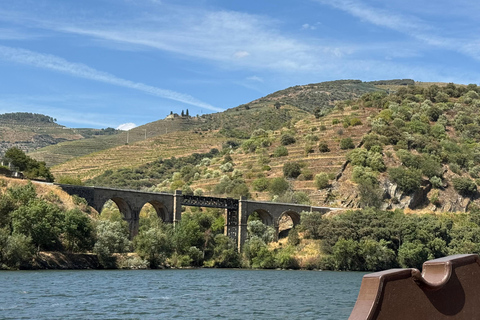 Porto: Douro Valley Train Tour, Cruise, Wine & Lunch