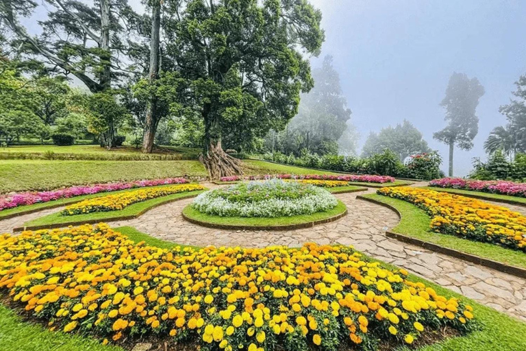 Ella To Nuwara Eliya Transfer with Temples, Gardens & Lake