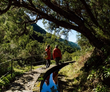 Von Funchal/Caniço: Rabaçal-Wanderung (25 Fontes) Bustransfer