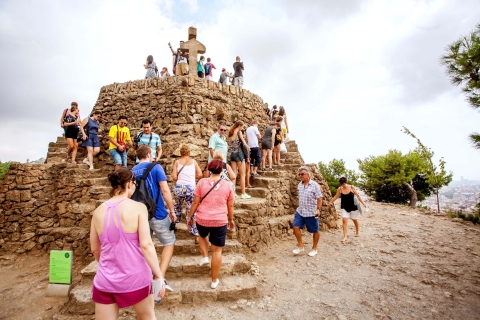 Barcelona: Skip-the-Line Park Güell Guided Walking Tour Park Güell Walking Tour English & other language at 5:30 PM