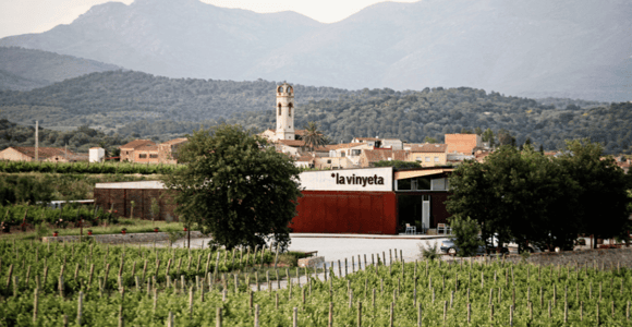 Empordà: Visit to Celler La Vinyeta with wine tasting