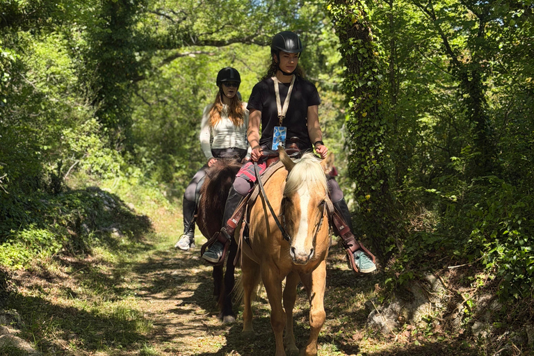 Dubrovnik: Horse Riding with local guide - beginner friendly