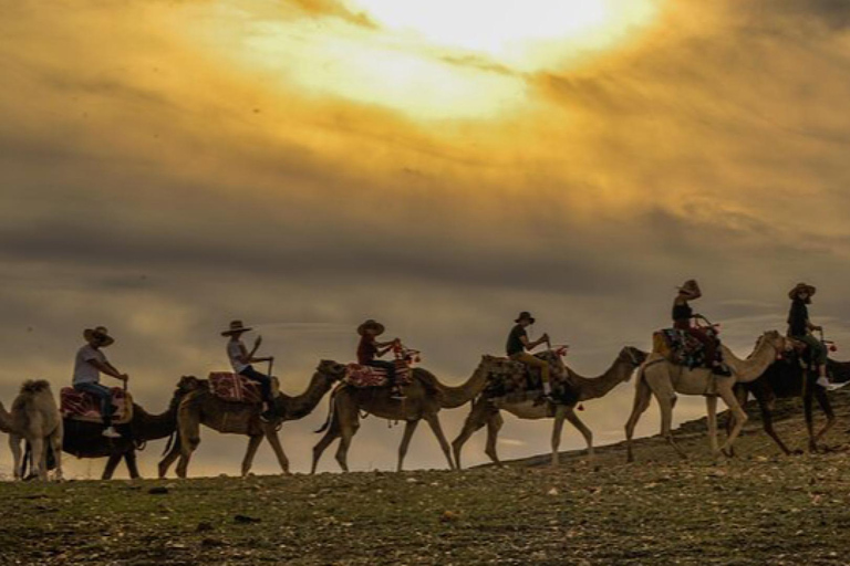 Marrakech: Agafay woestijn Quad &amp; kamelenritten met dinnershow