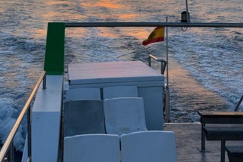 Mallorca:2.5h Boat trip Sea Adventure—Cruise, Swim & Explore Mallorca: 2.5-Hour Sea Adventure — Cruise, Swim & Explore!