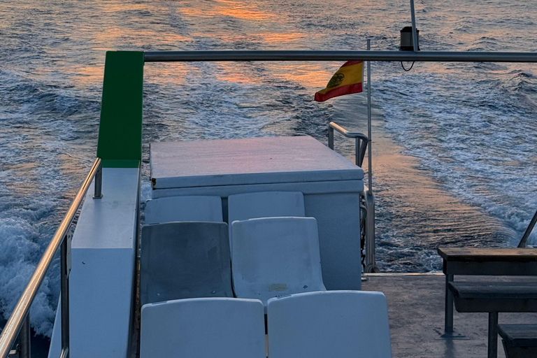 Mallorca:2.5h Boat trip Sea Adventure—Cruise, Swim & Explore Mallorca: 2.5-Hour Sea Adventure — Cruise, Swim & Explore!