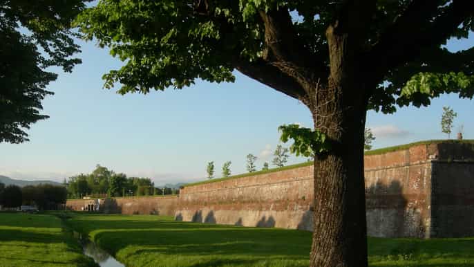 lucca semiprivate 3hour highlights tour