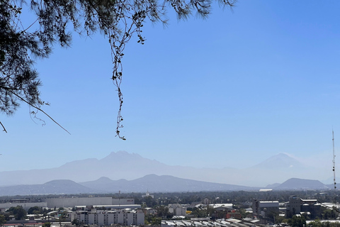 Guadalupe's Schrein: 2 Stunden private Tour mit Transport