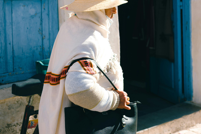 Full-Day Guided Djerba Island Tour & Crocodile Park + Lunch