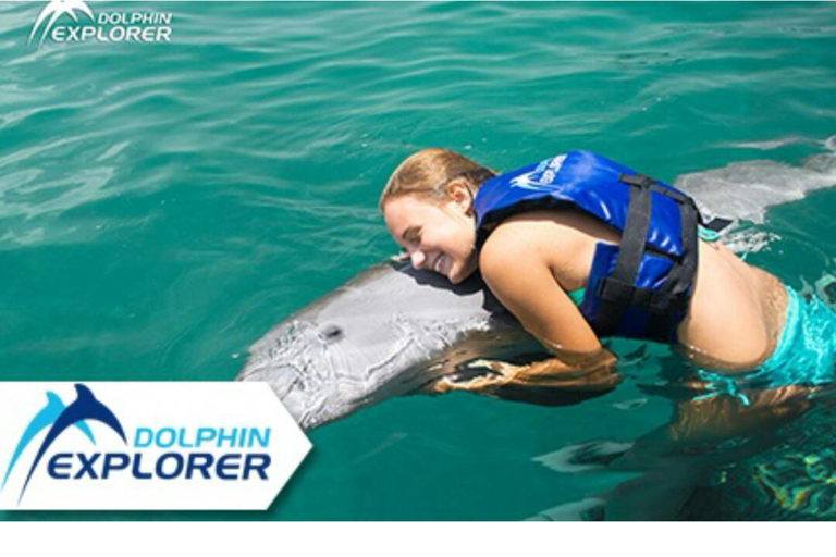 Punta Cana: Dolphin Swim with Bonus Sea Lion Show