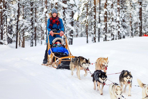 Rovaniemi : Village du Père Noël + balade en traîneau à husky et à rennes