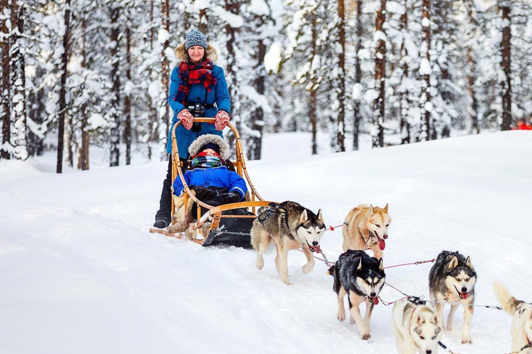 Rovaniemi: Aldeia do Pai Natal + Passeio de trenó puxado por huskies e renas