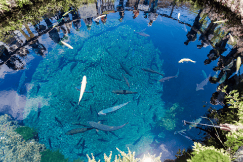 Mt. Fuji Day Tour with Kawaguchi Lake,Oshino Hakkai, Ropeway Shinjuku station pick-up 8:30am