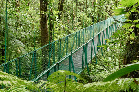 Walk on the hanging bridges of Selvatura Park Hike on the hanging bridges of Selvatura Park