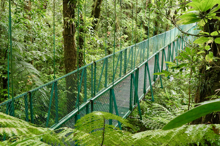 Walk on the hanging bridges of Selvatura Park Hike on the hanging bridges of Selvatura Park
