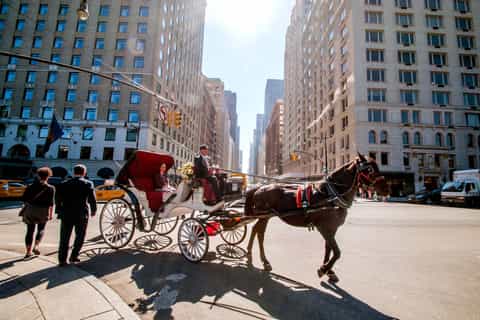 Pferdekutschenfahrt im Central Park
