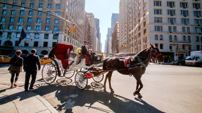 pferdekutschenfahrt im central park